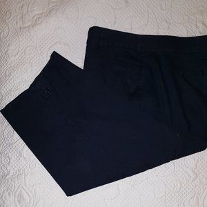 Counterparts sz 24W Navy Capri Pants